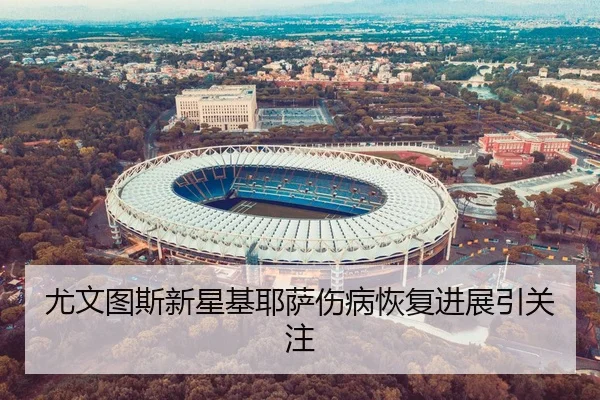 尤文图斯新星基耶萨伤病恢复进展引关注